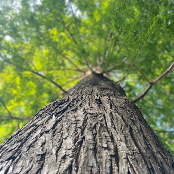 Sharing to support each other! 🌻🥰 - Picture 2 of 7